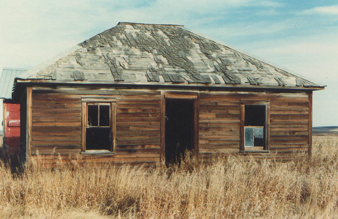 A wooden house in a field

Description automatically generated