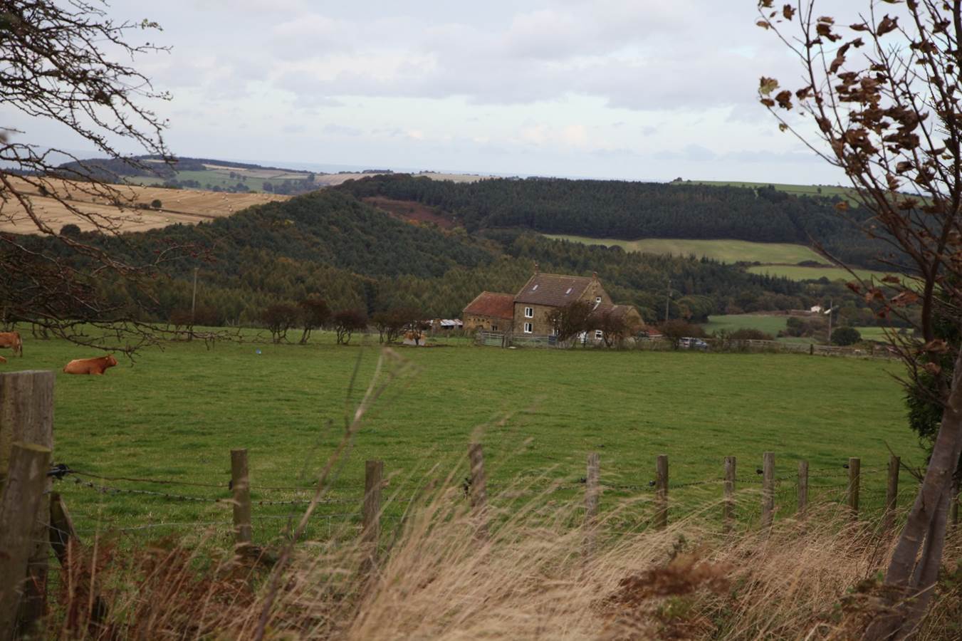 A field with a house in the distance

Description automatically generated