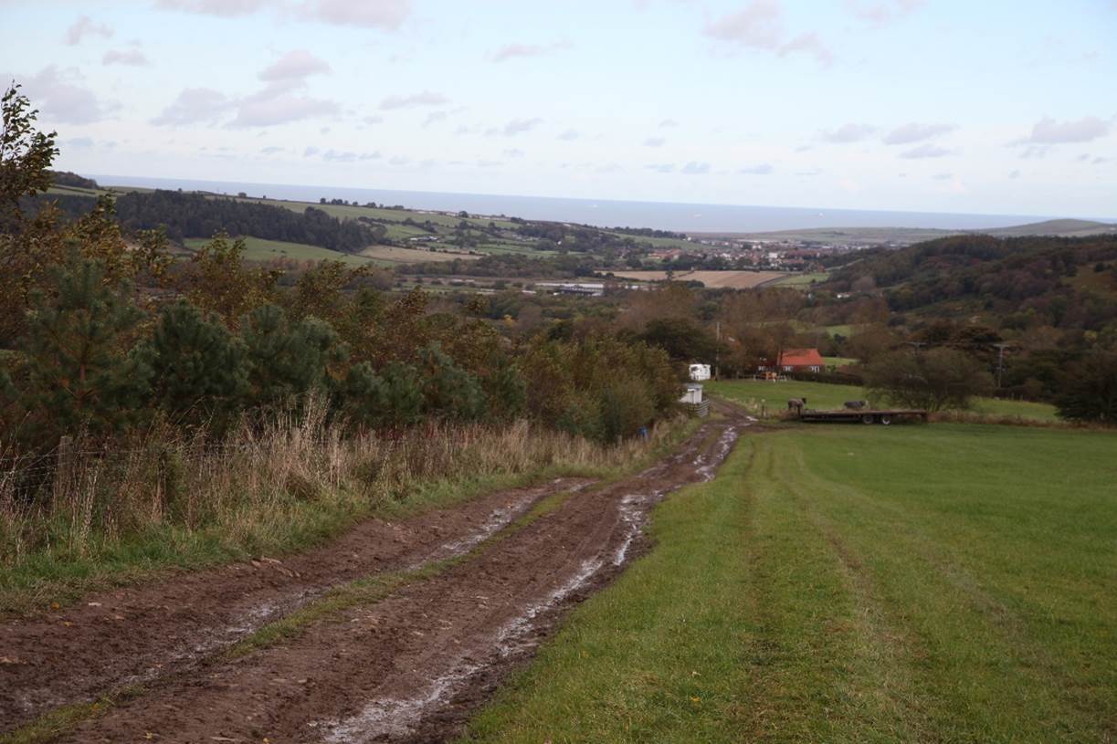 A dirt road in a field

Description automatically generated