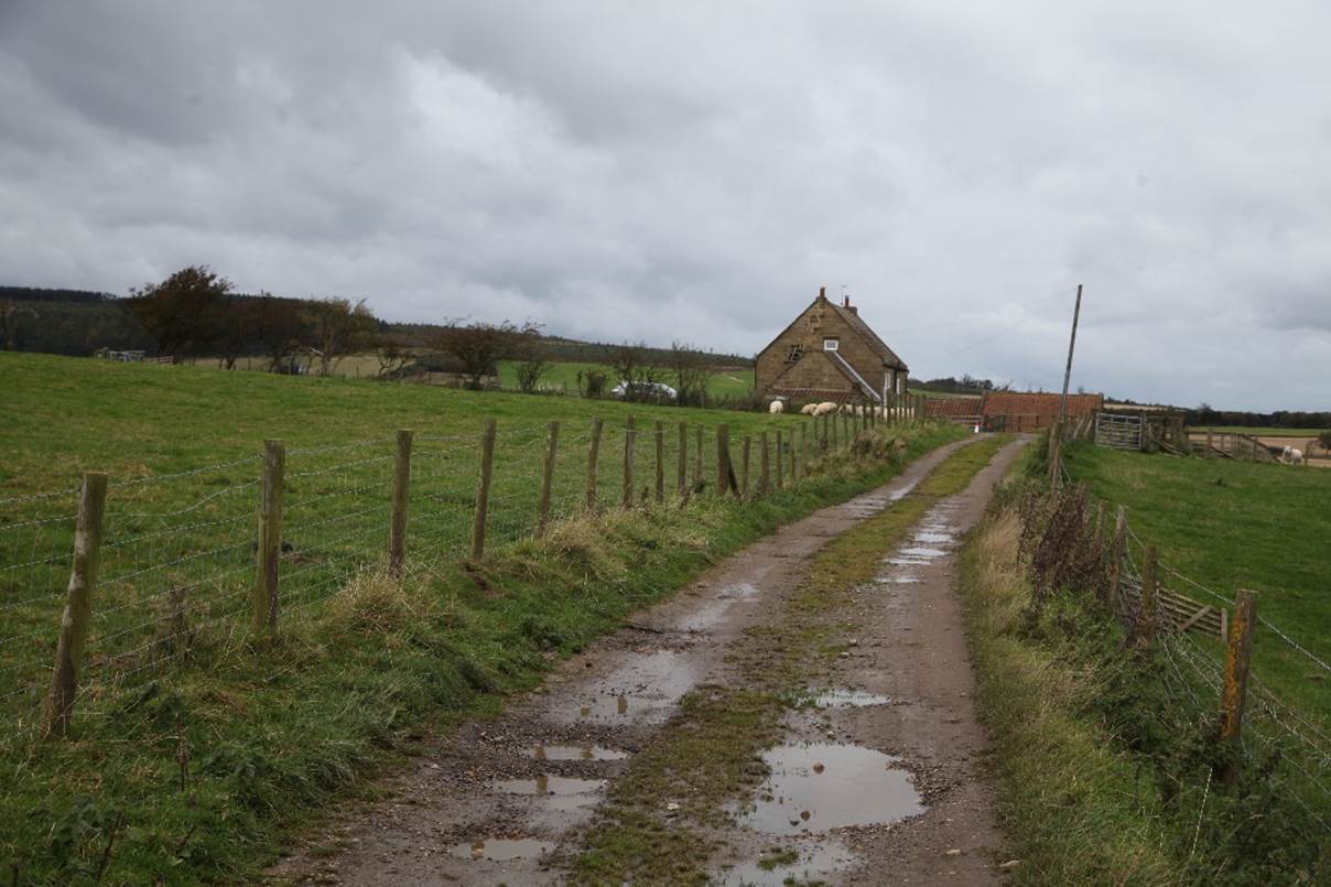 A wet road with a fence and a house in the background

Description automatically generated