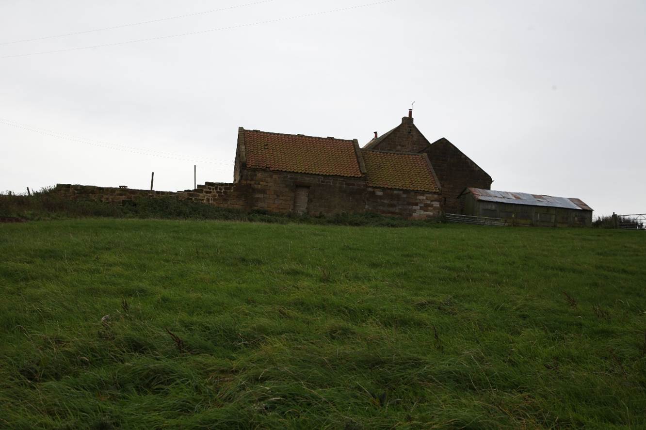 A house in a field

Description automatically generated with medium confidence